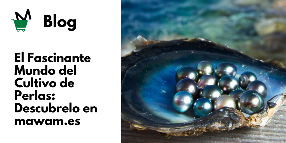 El Fascinante Mundo del Cultivo de Perlas Una Combinación de Arte, Ciencia y Naturaleza