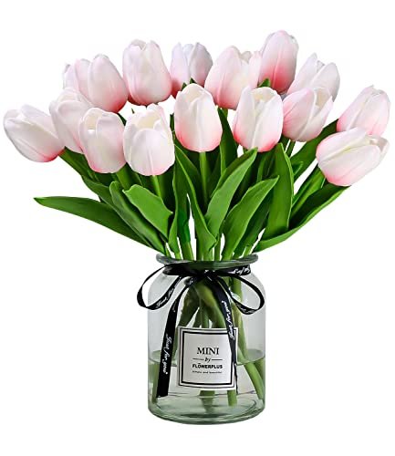 Lee más sobre el artículo Tulipanes precios