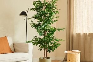 Comprar plantas artificiales ikea