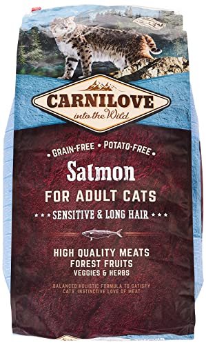 Lee más sobre el artículo Carnilove gato