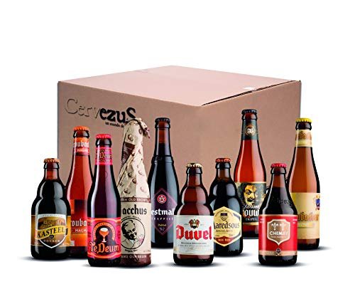 Lee más sobre el artículo Cerveza belga alcampo