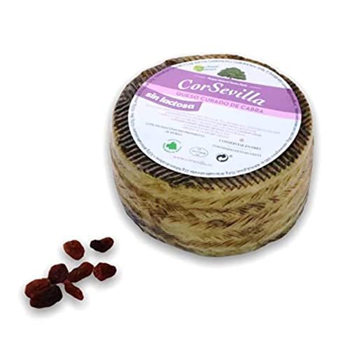 Lee más sobre el artículo queso sin lactosa aldi