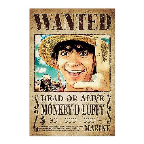 Lee más sobre el artículo Luffy the monkey