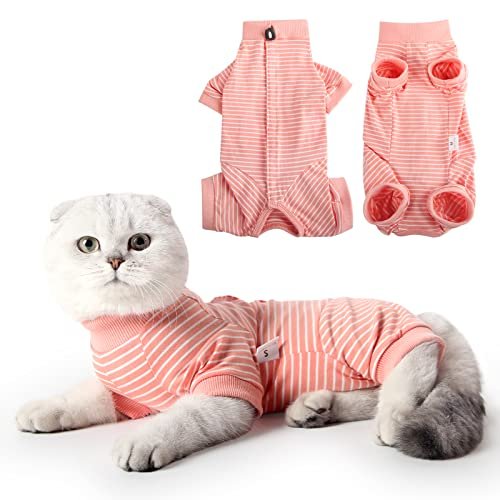 Lee más sobre el artículo Gata esterilizada postoperatorio