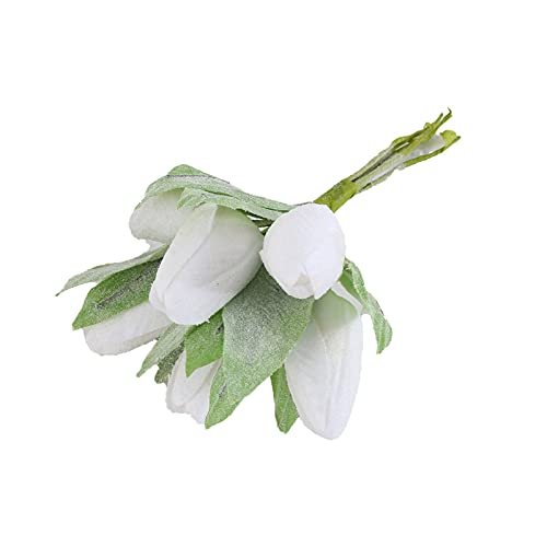 Lee más sobre el artículo Ramo de tulipanes precio