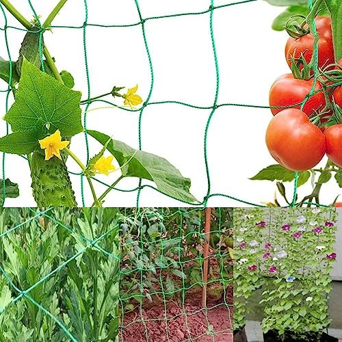 Lee más sobre el artículo Mallas escalada decathlon