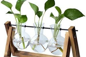 Planta natural interior ikea