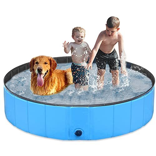 Lee más sobre el artículo Piscina para perros decathlon