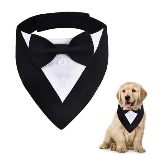 Lee más sobre el artículo Pajarita perro primark