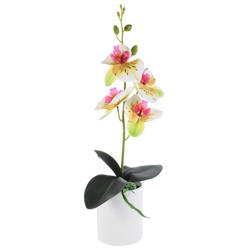 Lee más sobre el artículo Orquideas artificiales ikea