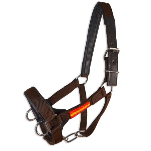 Lee más sobre el artículo cabezada caballo decathlon