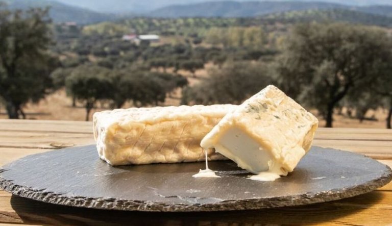 Lee más sobre el artículo Dónde comprar queso vegano