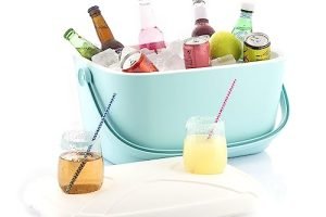 Polarbox nevera alcampo