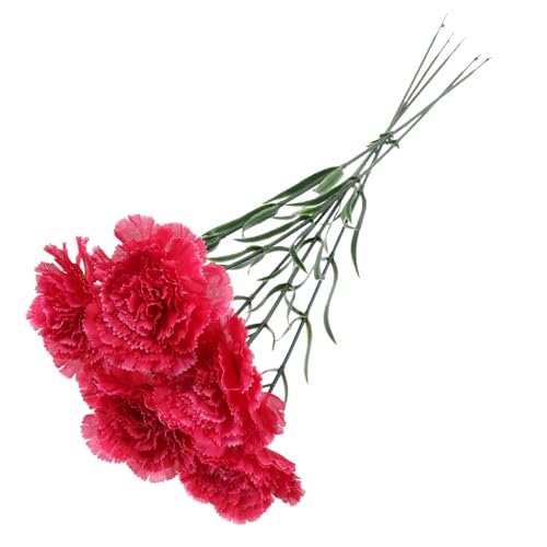 Lee más sobre el artículo Ramos de claveles