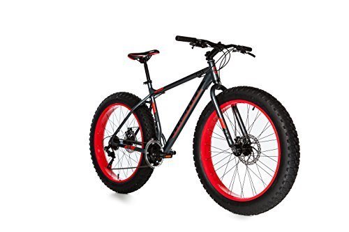 Lee más sobre el artículo Fatbike decathlon