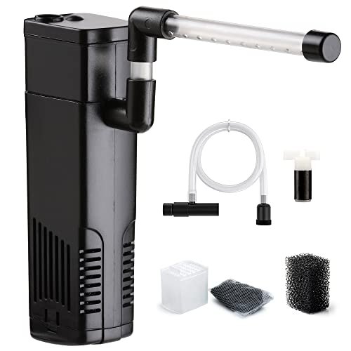 Lee más sobre el artículo Tortugas en peceras