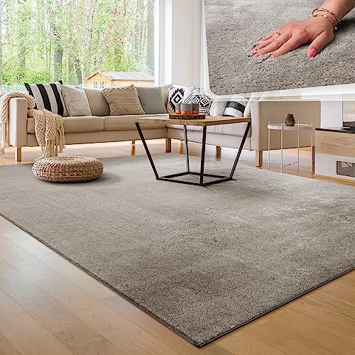 Lee más sobre el artículo Alfombra morum gris ikea