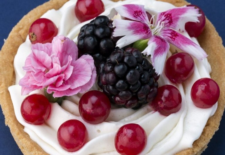 Lee más sobre el artículo Pastelería vegana en Barcelona