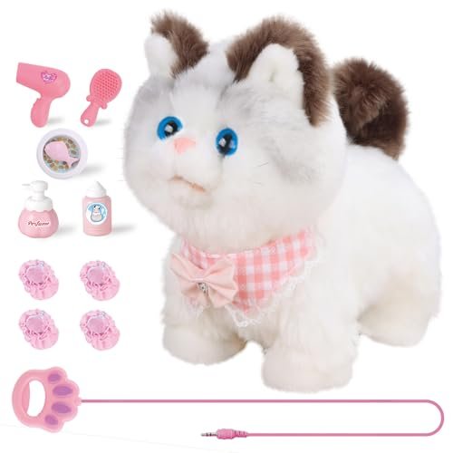 Lee más sobre el artículo Gatito jpg