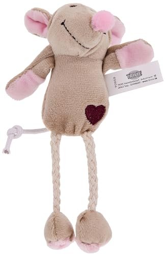 Lee más sobre el artículo Raton gato