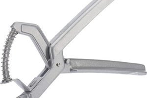 Aceitunas alinadas alcampo