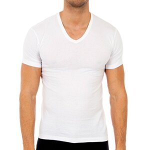 Abanderado Camiseta Interior Manga Corta Esenciales Algodón 100%, Manga Corta Esenciales para Hombre, Blanco, L